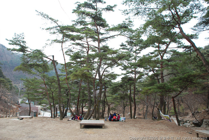 박달재자연휴양림야영장 이미지