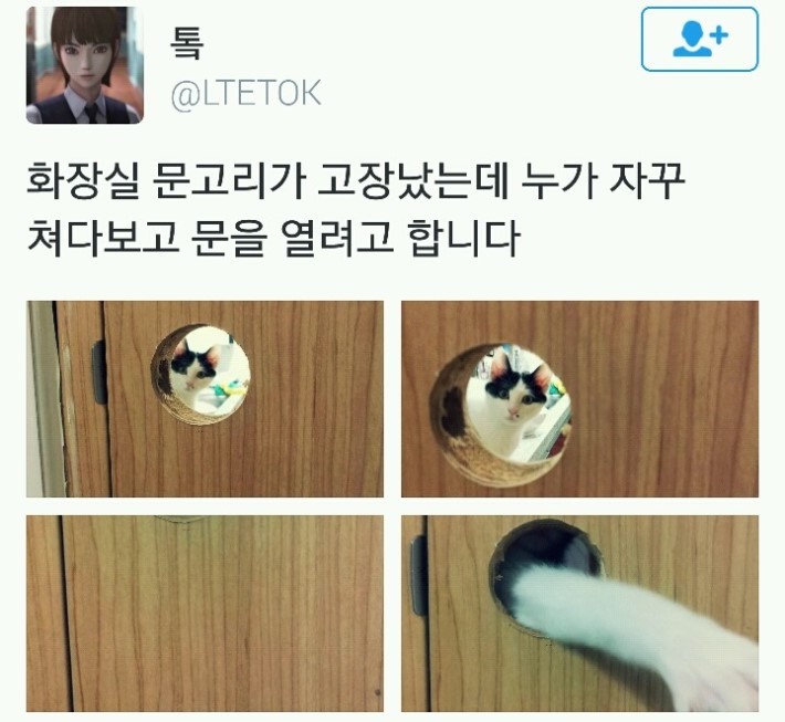 화장실 문고리 고장나서 문 열어달라는 고양이 | 인스티즈