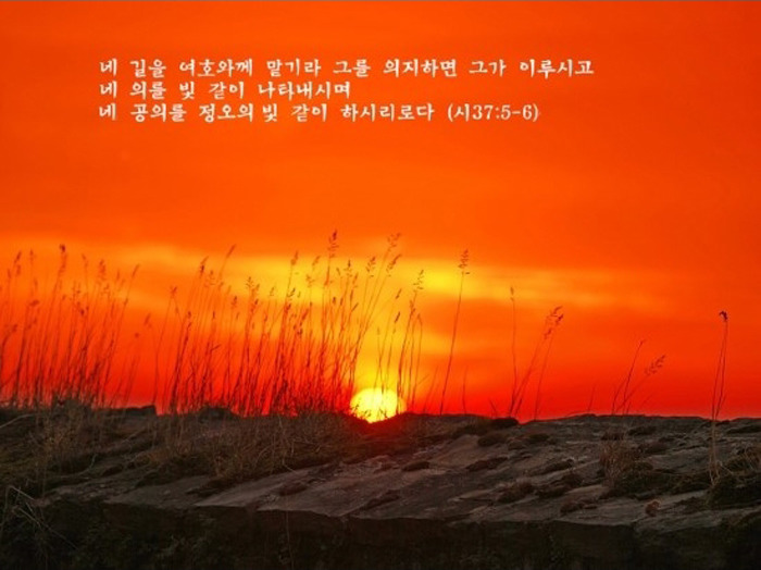 희망 이미지