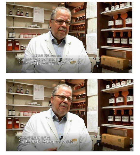 고통없이 잠자면서 죽을 수 있는 약 | 인스티즈