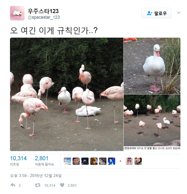 웃긴 트윗 모음.twt | 인스티즈
