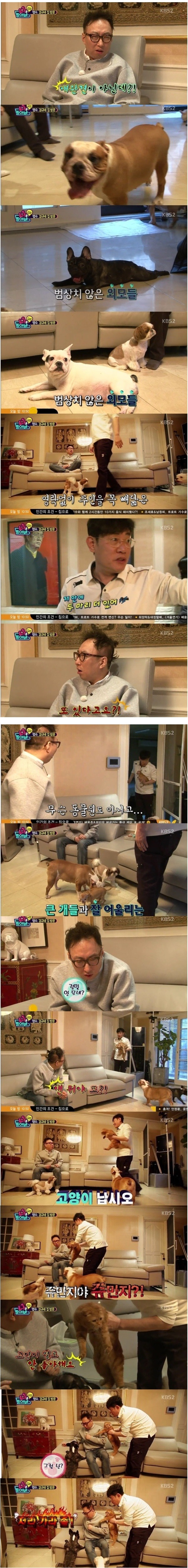 이경규네개들과 명수 | 인스티즈
