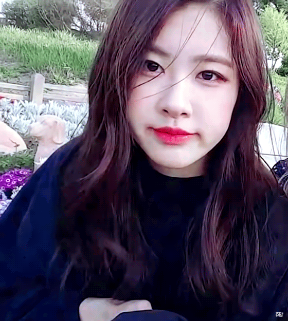 아련아련 열매 섭취한듯한 로제와 리사 170428 브이앱 | 인스티즈