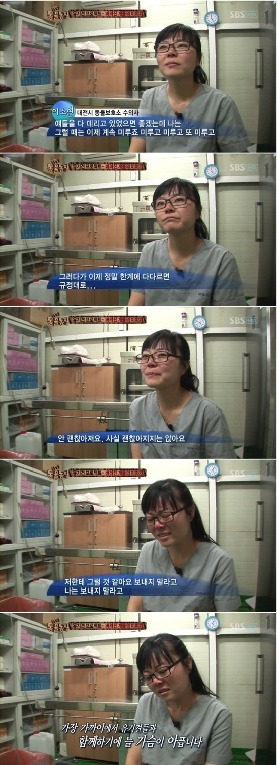 안락사 당하는 유기견의 눈물.jpg | 인스티즈