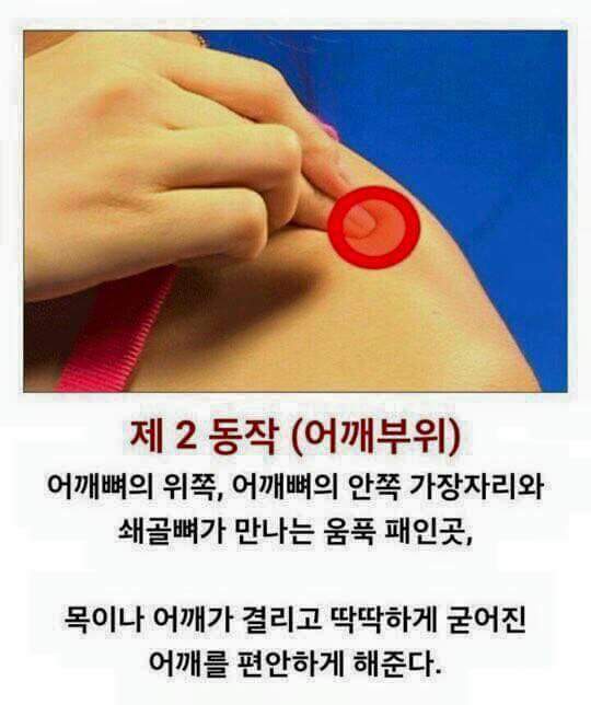 피로푸는 방법 | 인스티즈