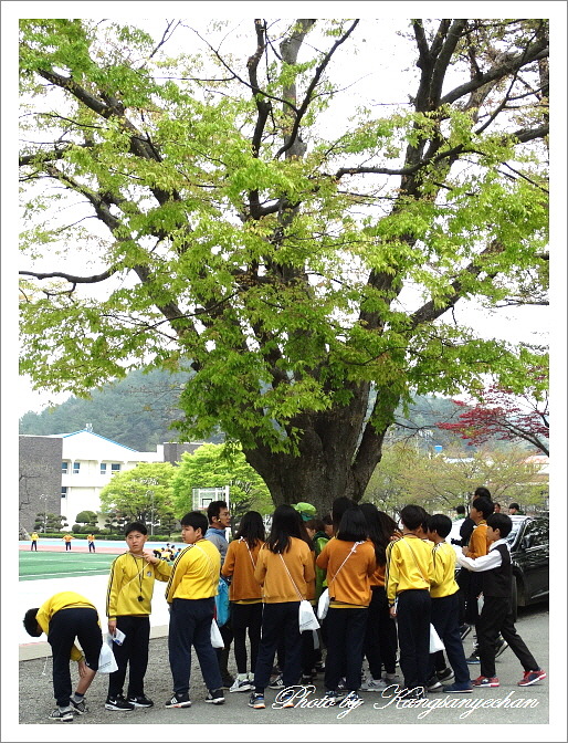 공주교육대학교부설초등학교 이미지