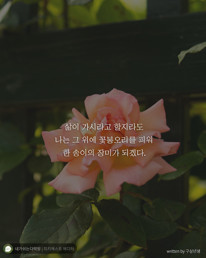  어둠 속에서 헤매고 있는 당신에게 해주고 싶은 말 | 인스티즈