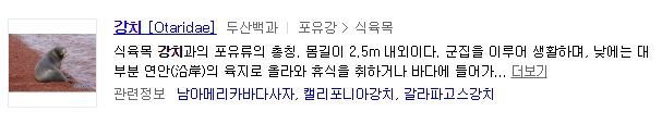 강치가 뭐게 | 인스티즈