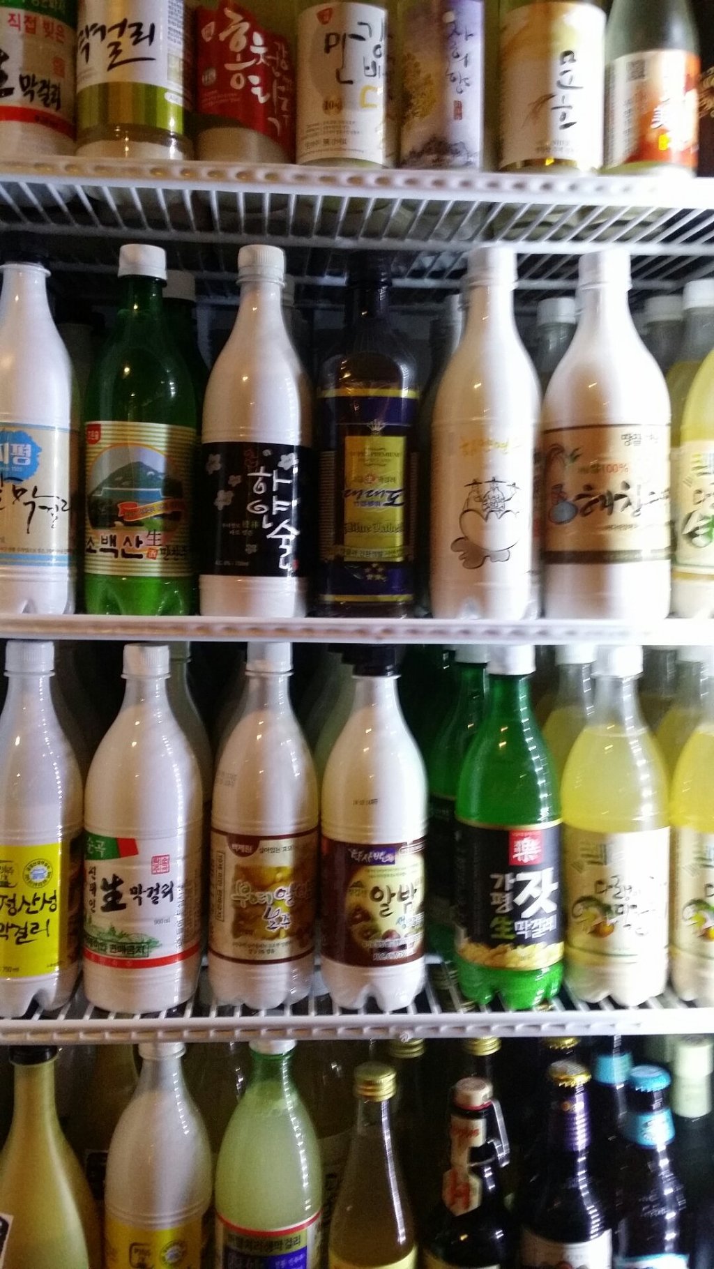 막걸리학교 이미지