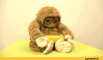 바나나 별로 안좋아하는 원숭이.gif | 인스티즈