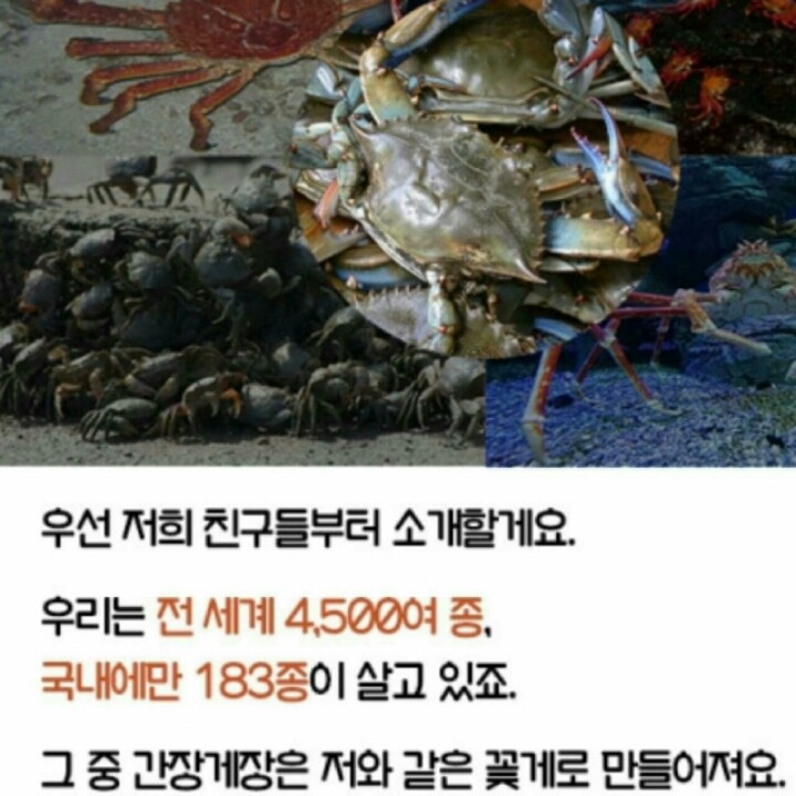 간장게장 먹는방법 | 인스티즈
