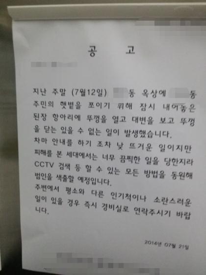 똥인지된장인지 이미지