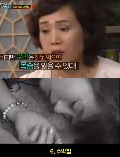 위기탈출넘버원 역대 죽음 | 인스티즈