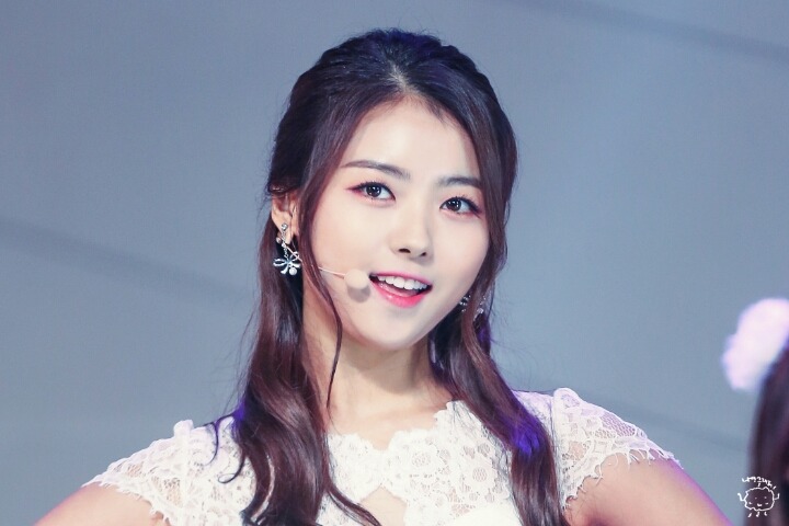돌리더 임나영 | 인스티즈