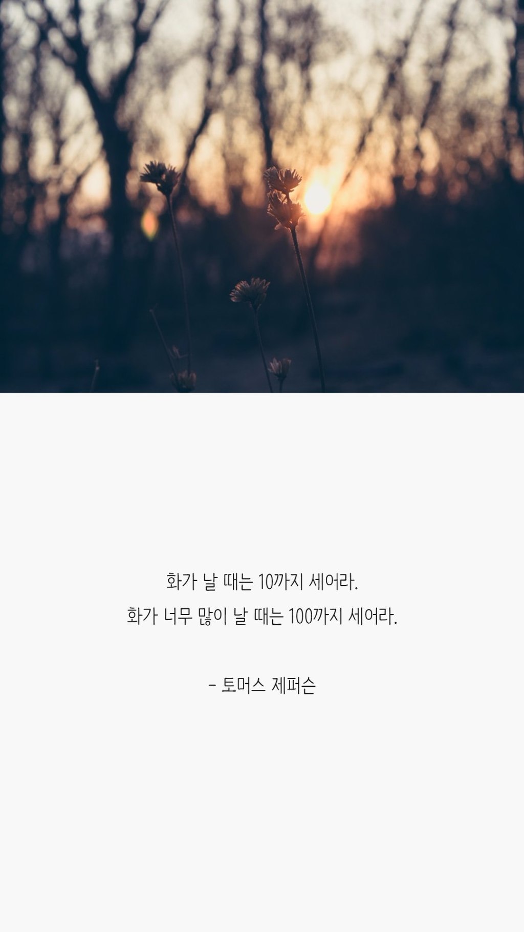  화났을 때 마음을 다스리는 말들 | 인스티즈