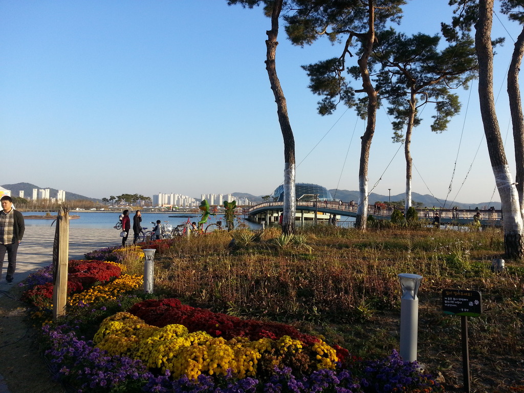 세종푸드 이미지