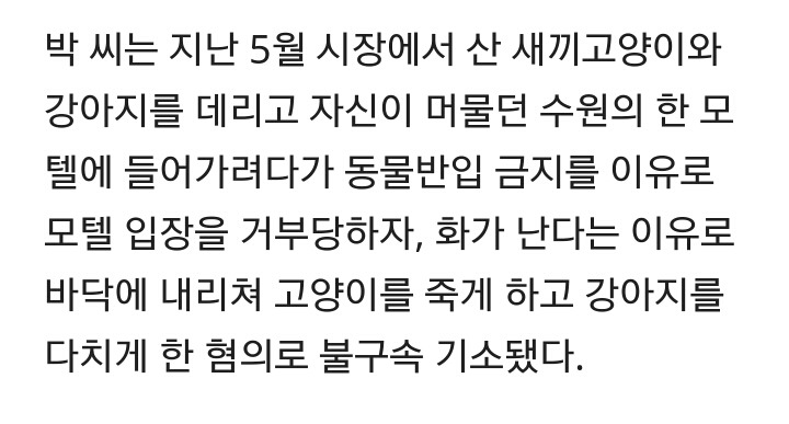 모텔에서 개와 고양이가 죽은 이유... | 인스티즈