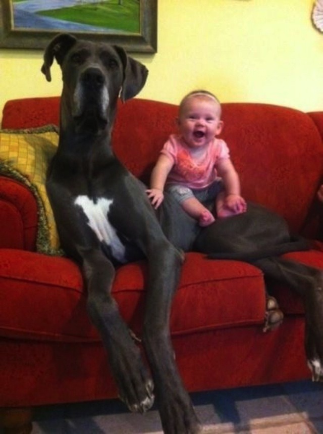 애들과 멍멍이 | 인스티즈