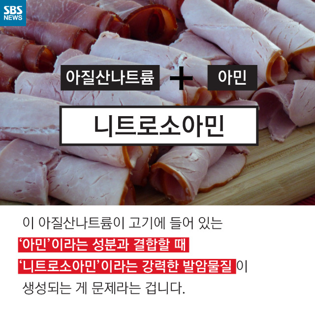 소시지는 암을 유발한다(?) | 인스티즈