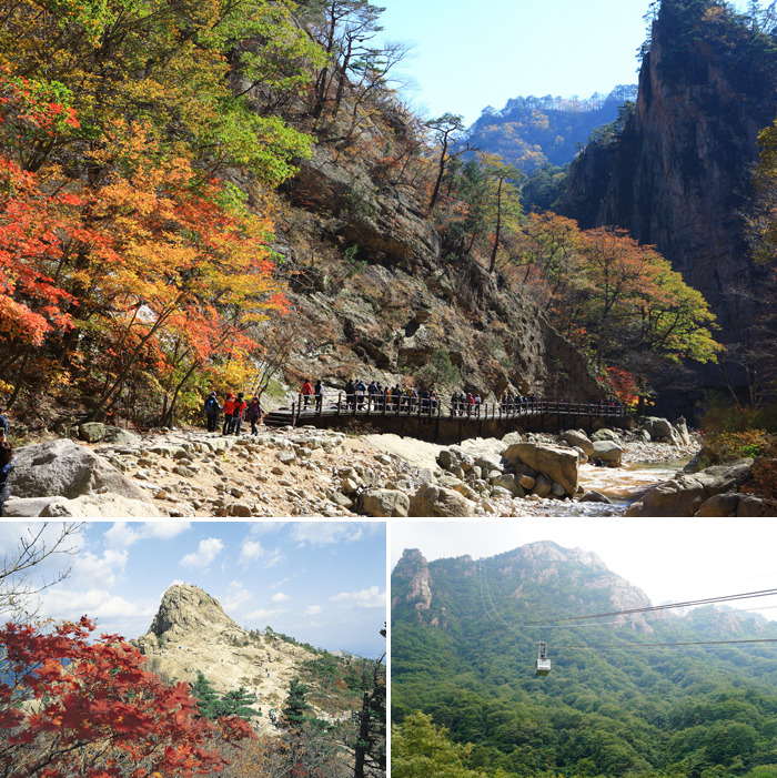 오색식당 이미지
