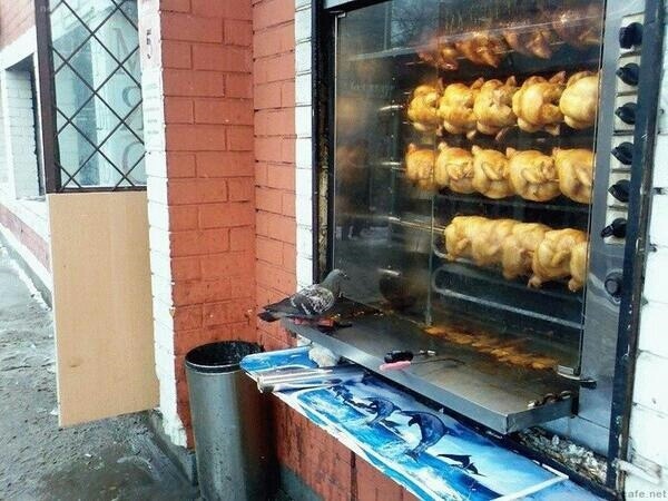 돌아온다고 했잖아요... | 인스티즈