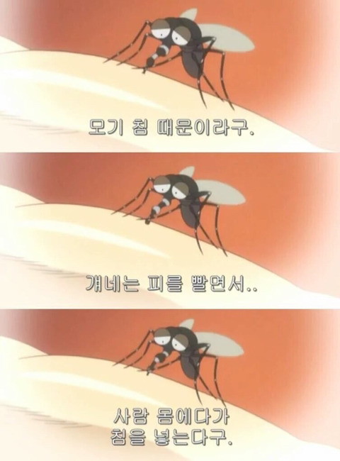 모기한테 물리면 가려운 이유 (feat.은혼) | 인스티즈