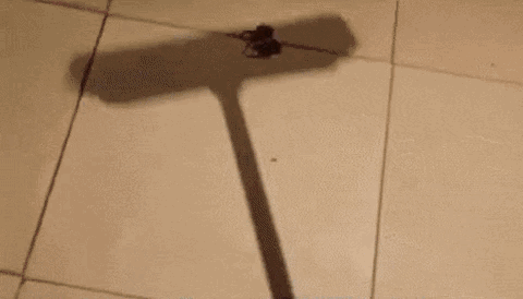 이러면 이사 가야 됨.gif (혐오주의) | 인스티즈