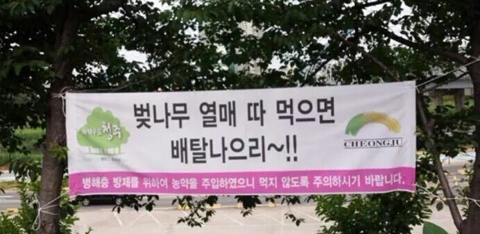 패기있는 청주공무원 | 인스티즈