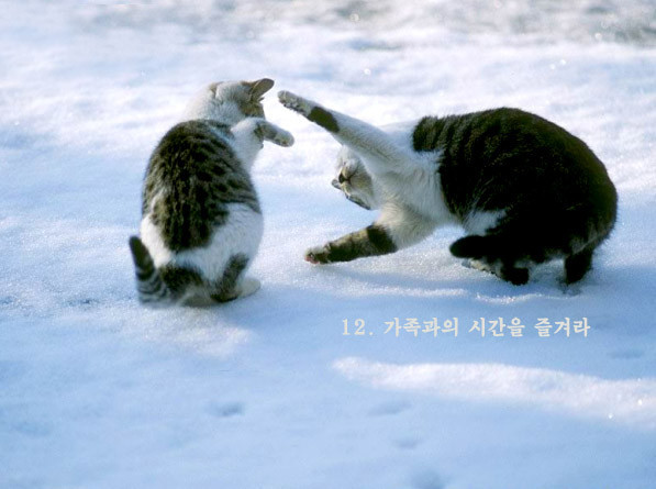 인 이미지