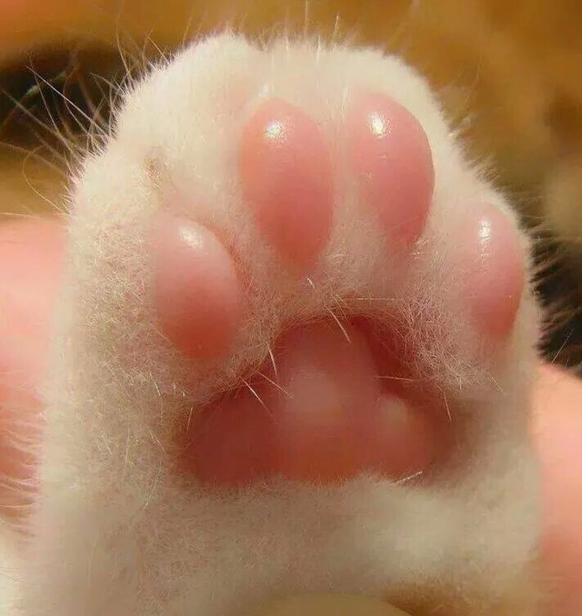 이과생 유머 몇가지 | 인스티즈