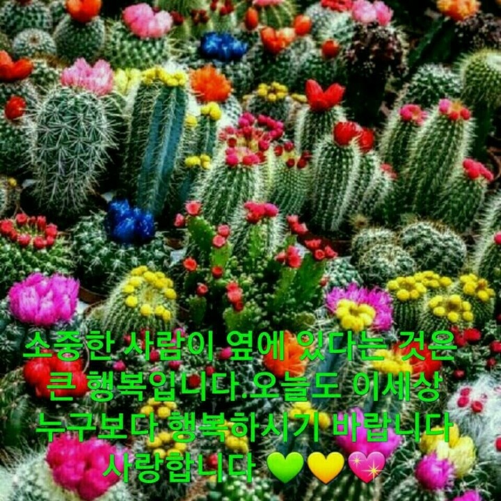 우리사는 이야기 이미지