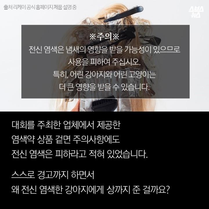 강아지가 도화지야? | 인스티즈