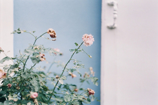  영영 모르고 살아갔으면 | 인스티즈