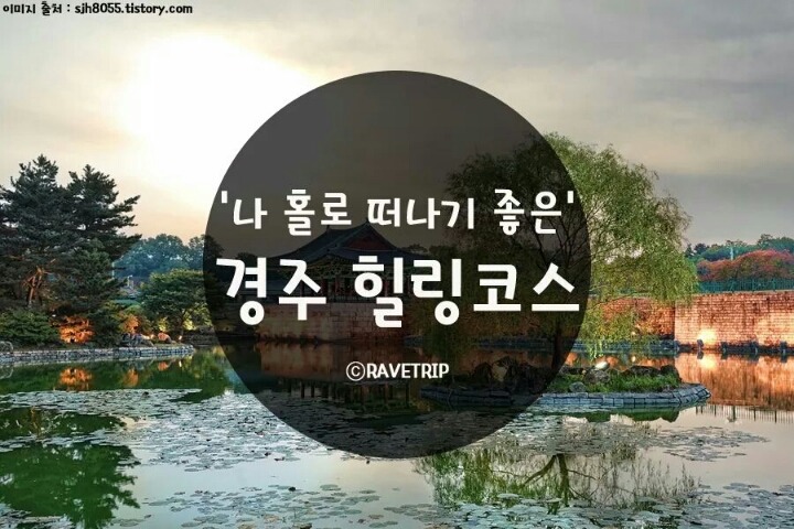혼자 떠나기도 좋은 경주 여행 | 인스티즈