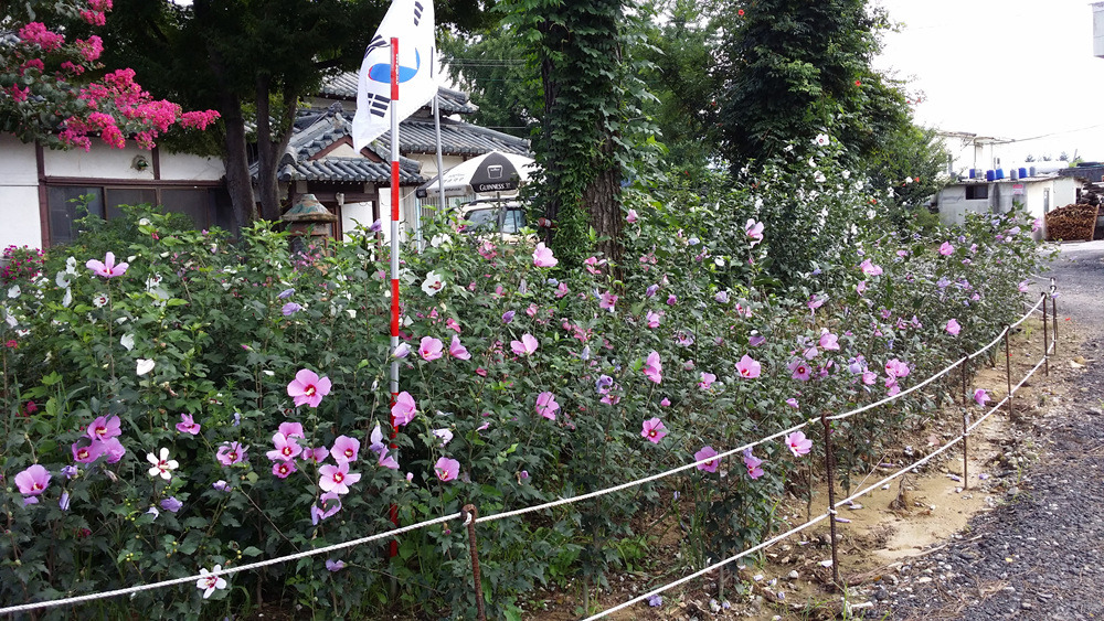 2266294855ABBF0A0D0FB4