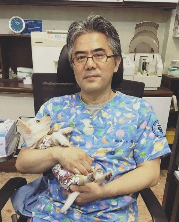 문재인 마약방석에서 극락 맛 본 댕댕이가 곧 입양된다는 기쁜소식!!!! | 인스티즈