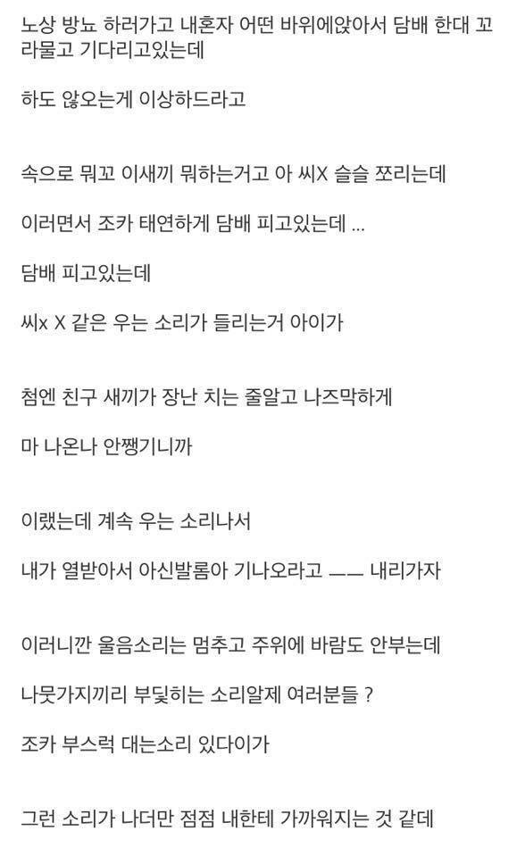 곧 개봉하는 영화 "장산범" 실제 목격 괴담 모음 | 인스티즈