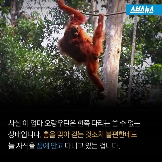 숲속에 사는 사람들 | 인스티즈