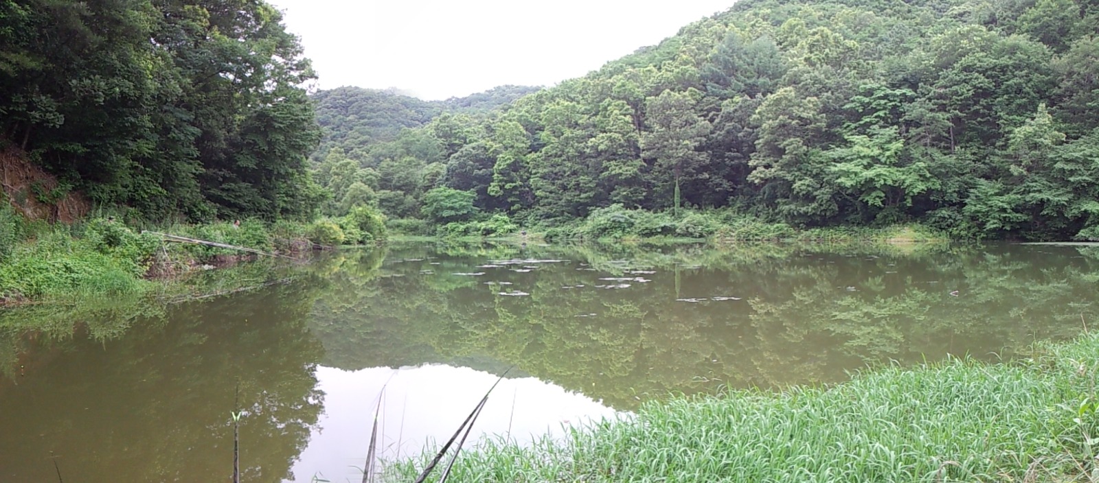 옹달샘 이미지