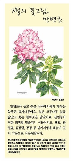 여럿이함께 이미지