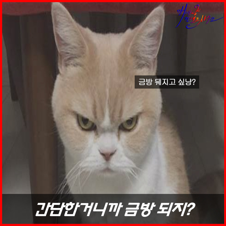 디자이너들이 가장 듣기 싫은 말말말!? | 인스티즈