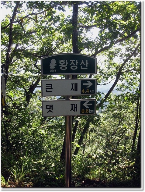 (주)금강송 이미지