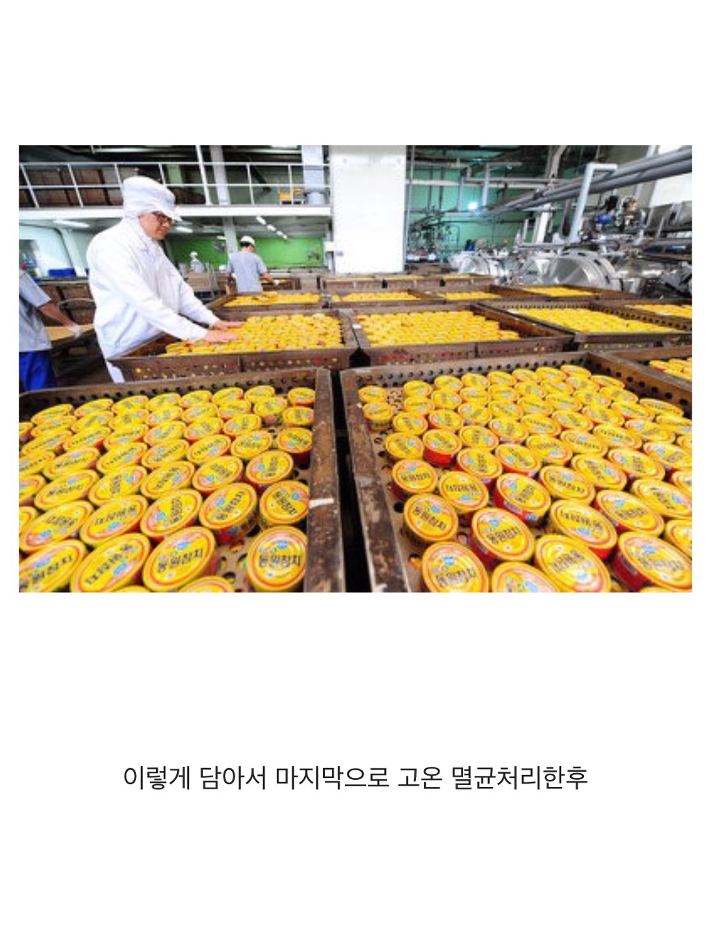 참치캔이 만들어지는 과정 | 인스티즈