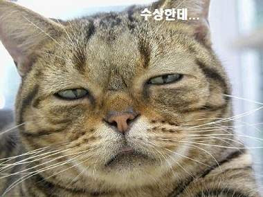 회동식당 이미지