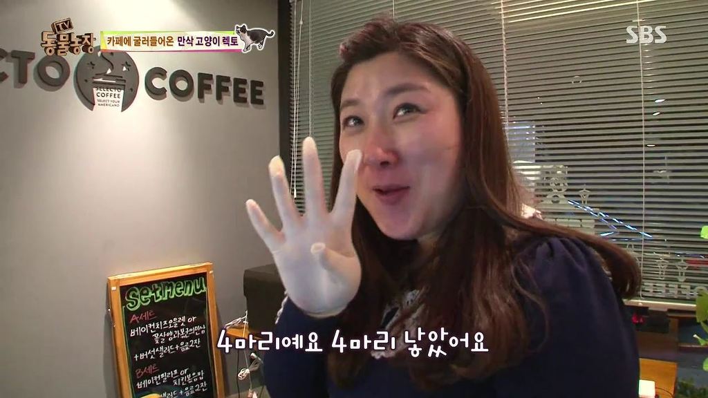 동물농장 [카페에굴러들어온고양이렉토] | 인스티즈