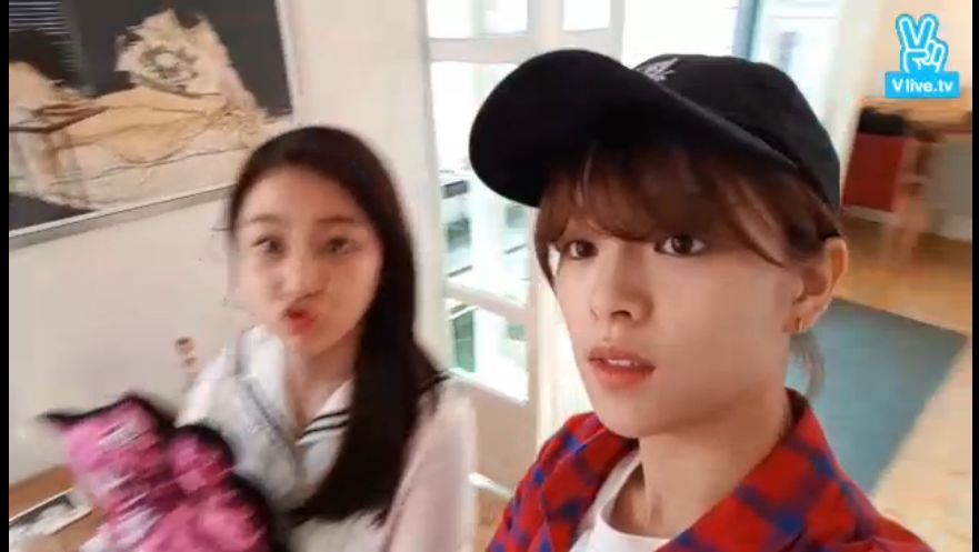 [트와이스] 정연-지효 v앱 라이브 시작 | 인스티즈