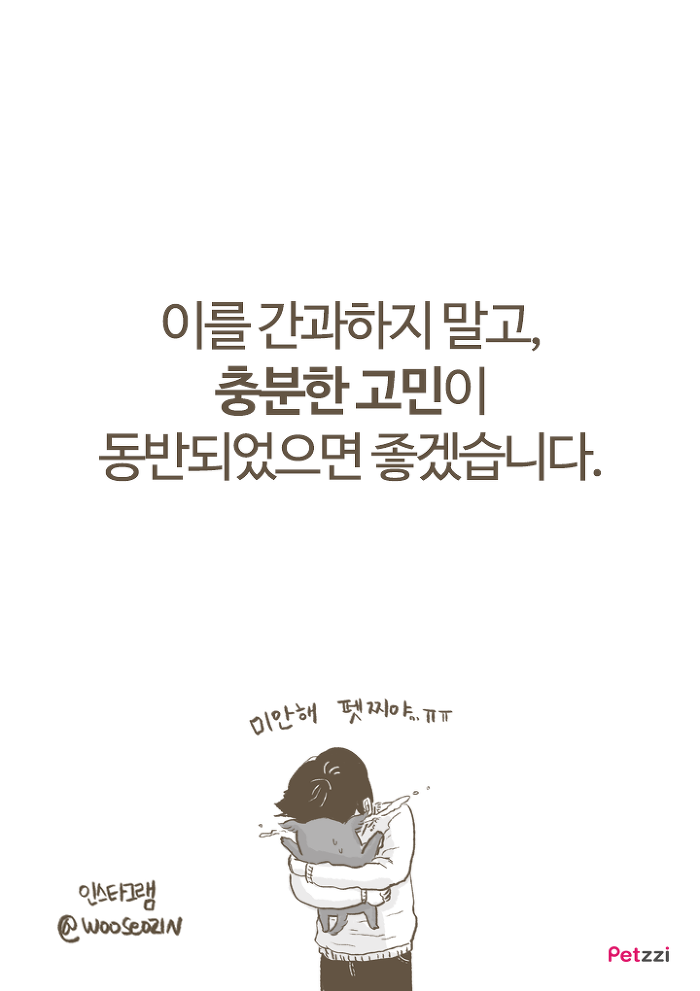 강아지 붕가붕가.jpg | 인스티즈