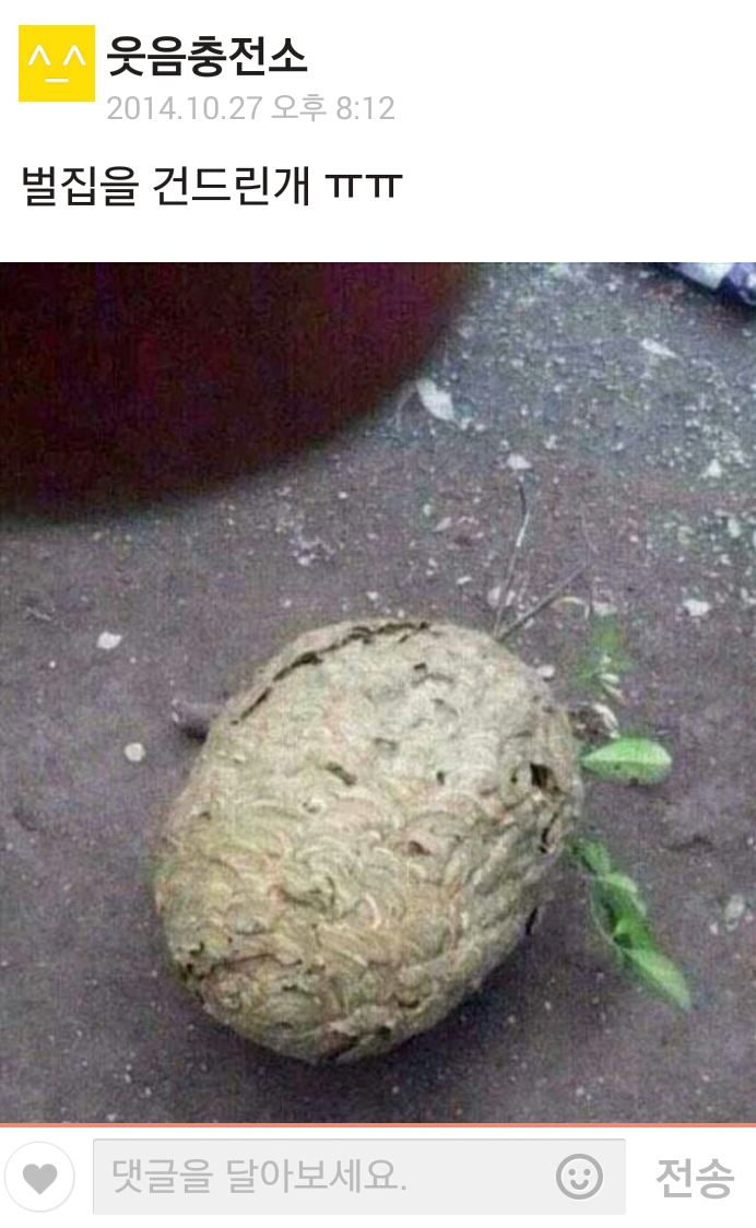 벌집 이미지
