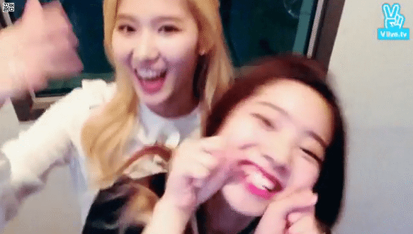  특이점이 온 샤샤샤 | 인스티즈