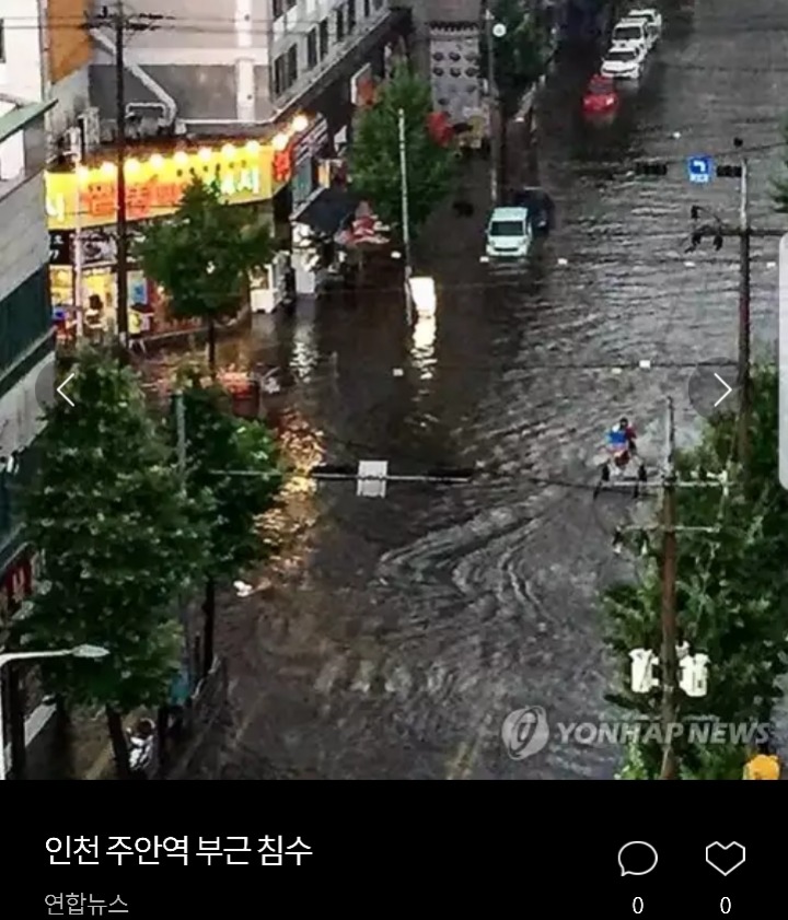 침수된 차량 위에 올라간 고양이 | 인스티즈